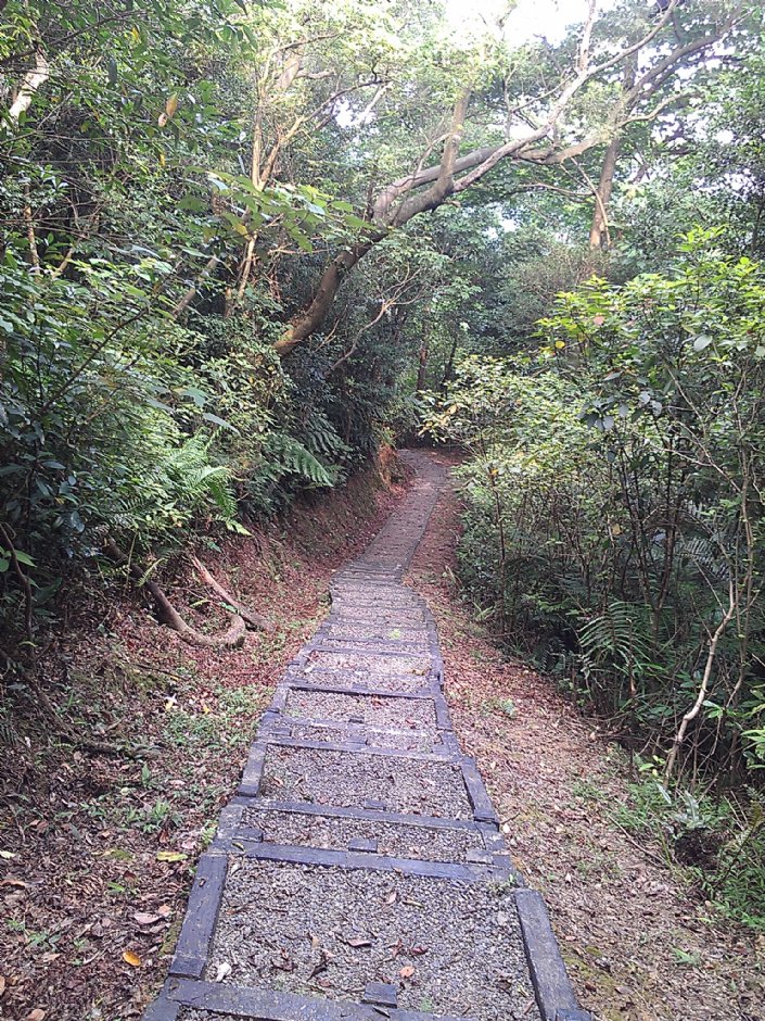 富民親水公園 攝影：Eva隨手拍