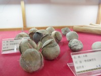 昔日球隊所使用之球具<br/> 攝影：Eva隨手拍