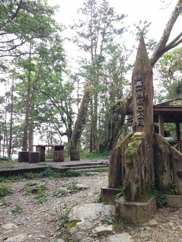 中國歷代神木園區(棲蘭神木園) 攝影：陳皮梅