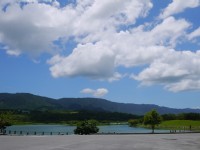 池上大坡池<br/> 攝影：三井