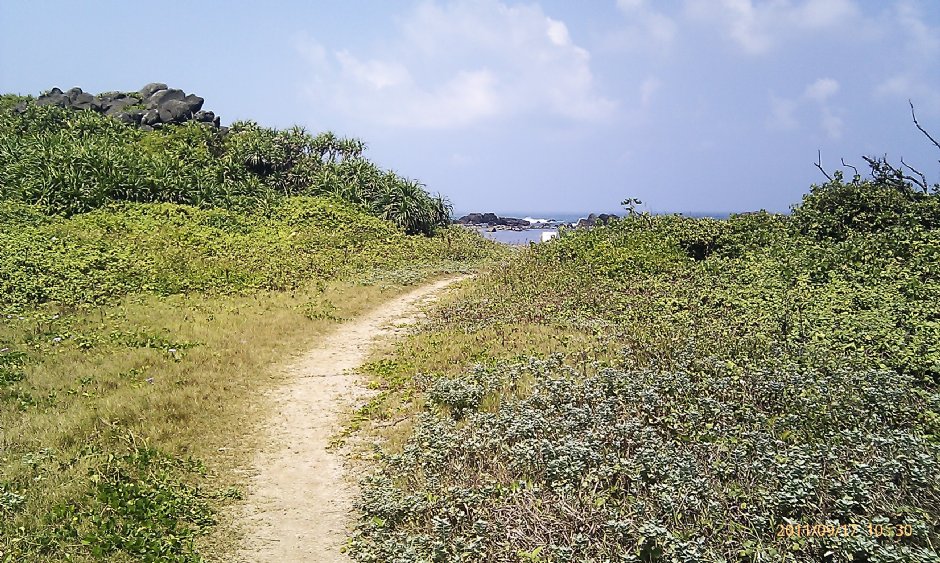 濱海步道 攝影：Eva隨手拍