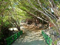 地熱景觀步道<br/> 攝影：老山羊部落格