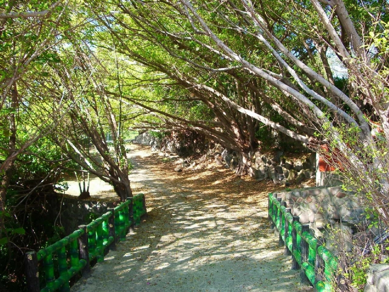 地熱景觀步道 攝影：老山羊部落格