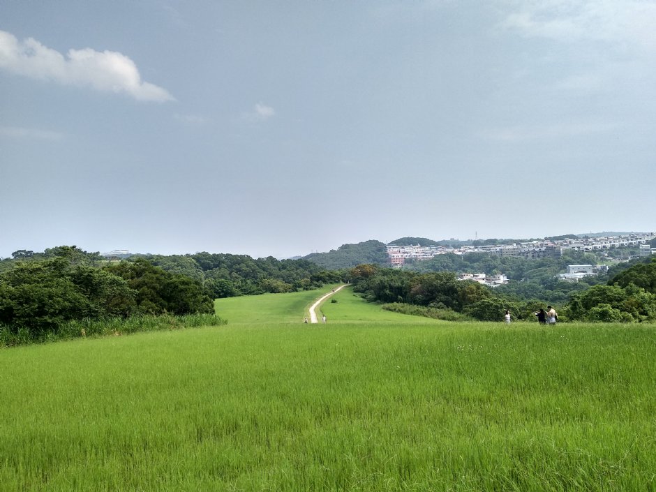 青青草原 摄影：Lu