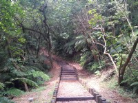 大崙頭山自然步道<br/> 攝影：Lu