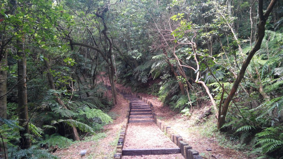 大崙頭山自然步道 攝影：Lu