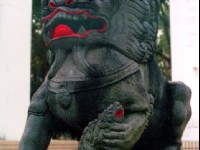 石獅<br/> 攝影：林山景