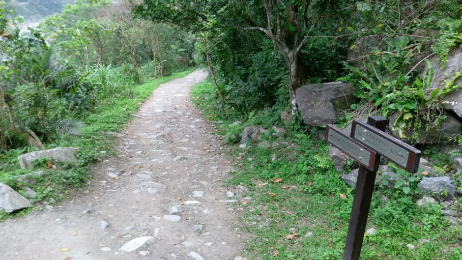 小錐麓步道 攝影：Eva隨手拍
