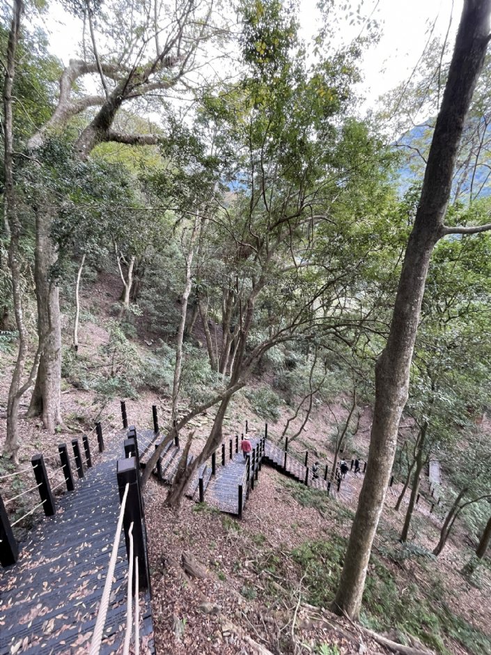 雪山坑环线步道 摄影：Eva隨手拍