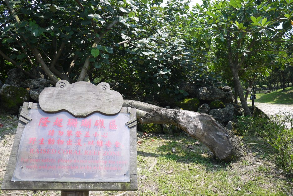 原生植物園 攝影：三井