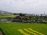藺草文化館前彩繪稻田<br/> 攝影：Eva隨手拍
