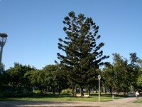 榮星公園<br/> 攝影：amo