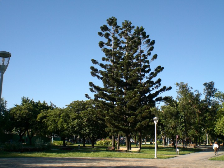 榮星公園 攝影：amo