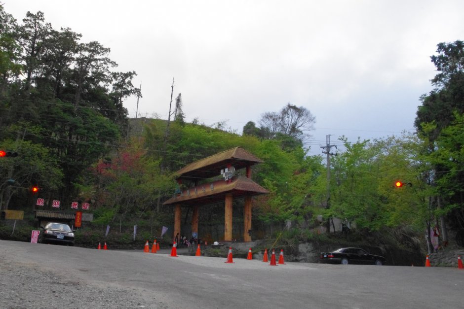 草坪頭玉山觀光茶園 攝影：Eva隨手拍