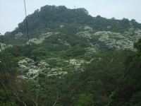 大艽芎古道<br/> 攝影：xcatx
