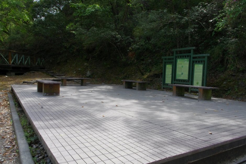白楊步道休憩平台 攝影：Eva隨手拍