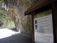 人車分道<br/> 攝影：老山羊資訊網