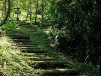 森林浴步道<br/> 攝影：山林悠遊網 / 花蓮林管處 提供