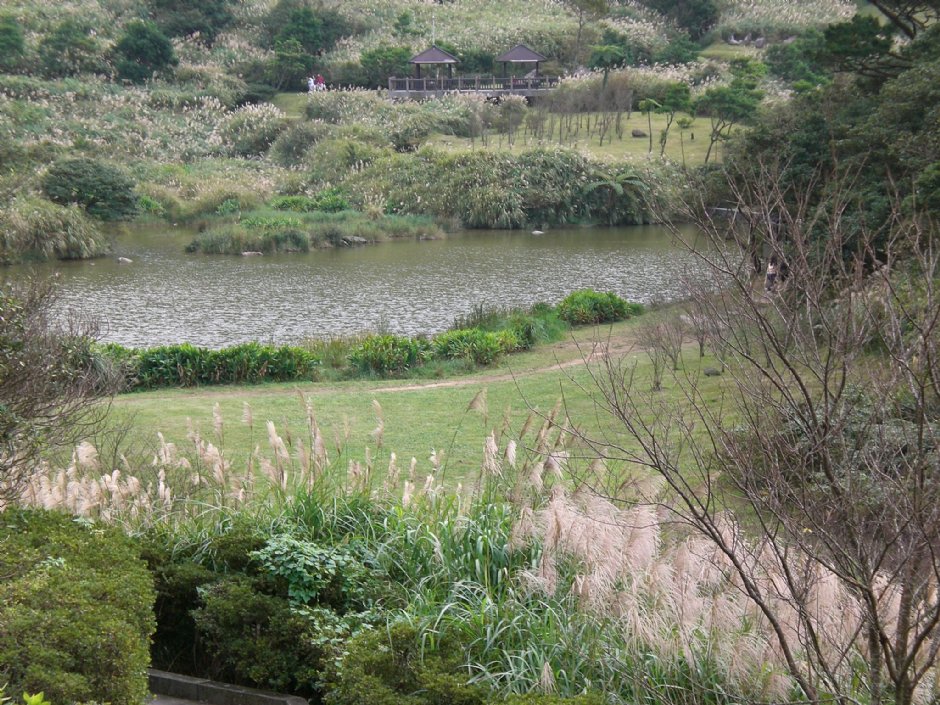 大屯山自然公園 攝影：amo