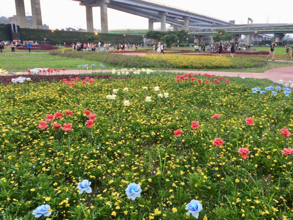 江翠礫間水岸公園 攝影：Eva隨手拍
