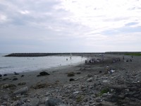 海濱秋茂園<br/> 攝影：三井