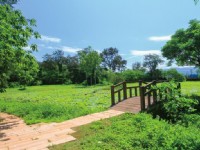 濱海森林公園-長青之森<br/> 攝影：圖片來源_苗栗文化觀光旅遊網