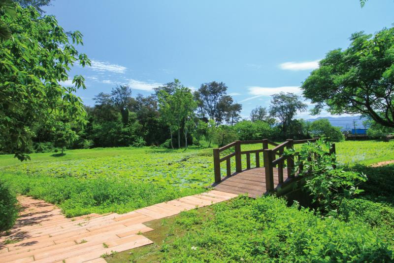 濱海森林公園-長青之森 攝影：圖片來源_苗栗文化觀光旅遊網