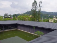 大溪老茶廠外的水池<br/> 攝影：Eva隨手拍