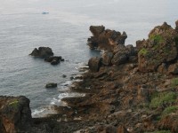 貓鼻頭特寫<br/> 攝影：老山羊部落格