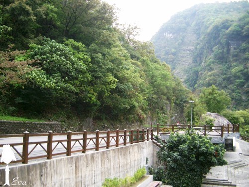 合流露營區 攝影：EVA隨手拍