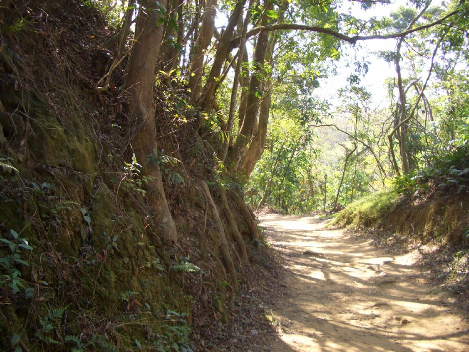 古道一景 攝影：鄭瑄頤