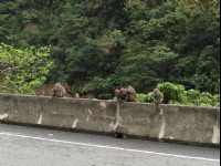 登仙橋休憩區<br/> 攝影：旅遊王攝影組