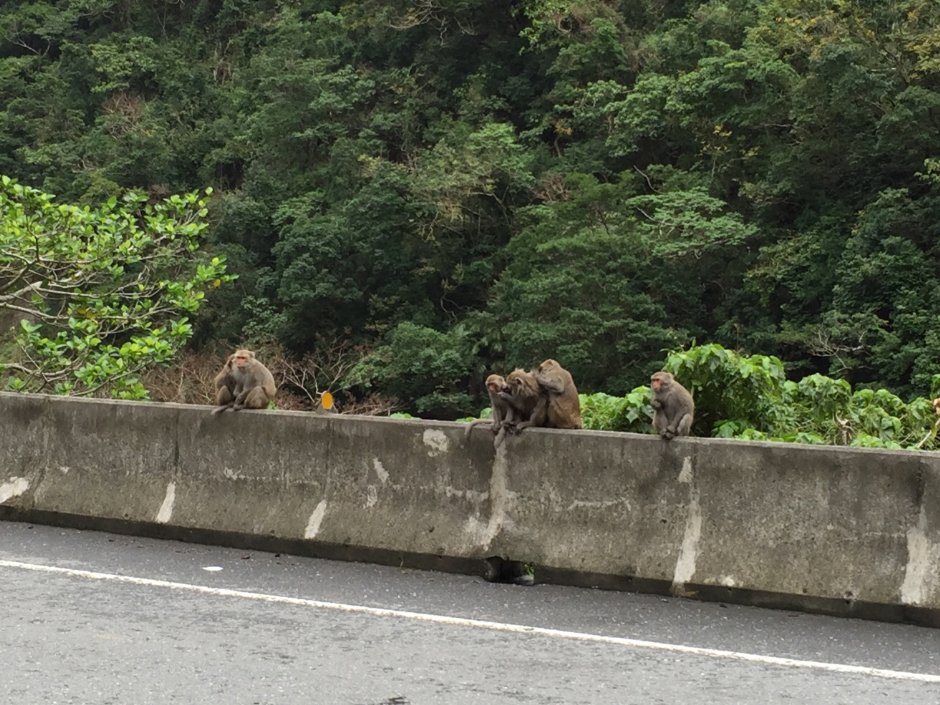 登仙橋休憩區 攝影：旅遊王攝影組