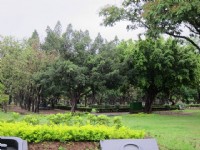 台南公園<br/> 攝影：黃儒永