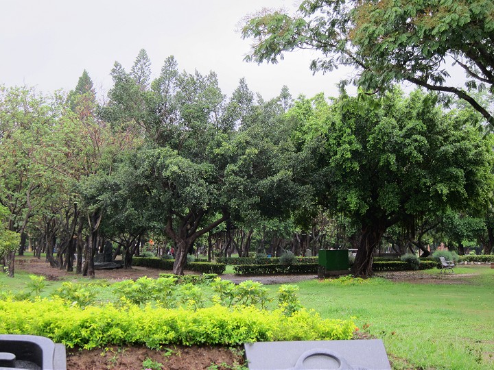 台南公園 攝影：黃儒永