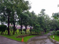 桐花樂活公園<br/> 攝影：Eva隨手拍