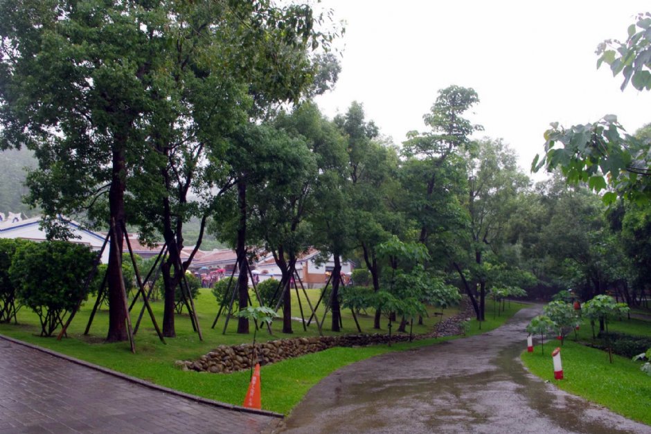桐花樂活公園 攝影：Eva隨手拍