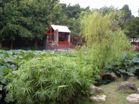 蘇州庭園景觀<br/> 攝影：老山羊部落格