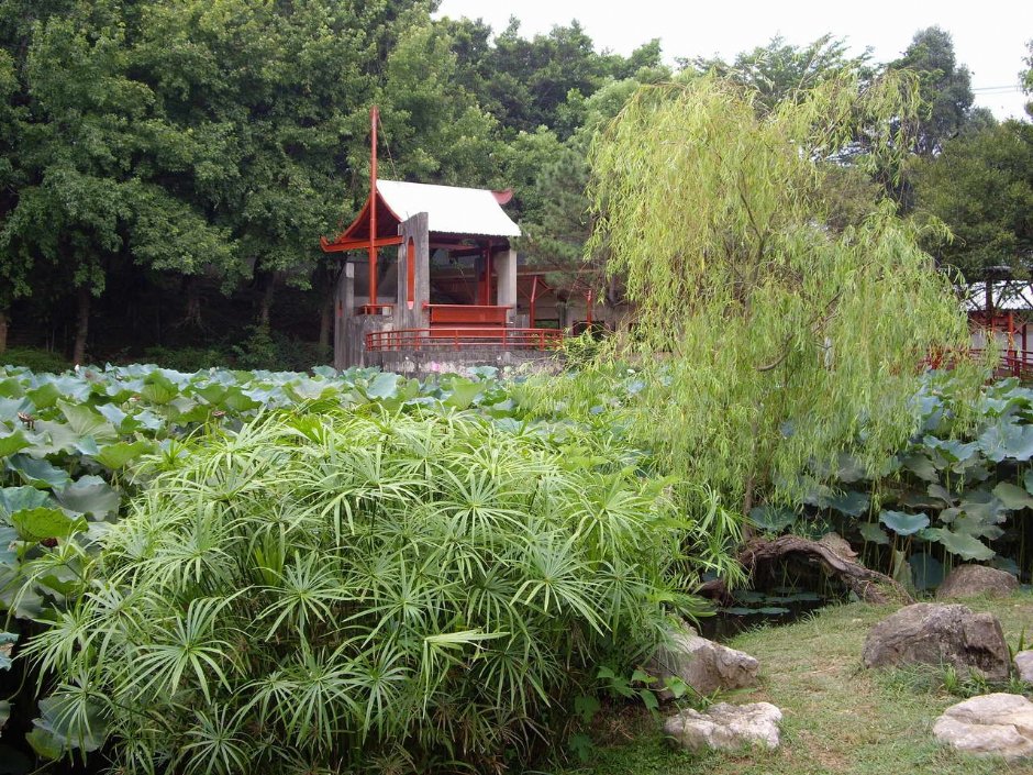 蘇州庭園景觀 攝影：老山羊部落格