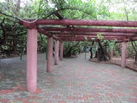 武聖廟神榕園<br/> 攝影：黃儒永
