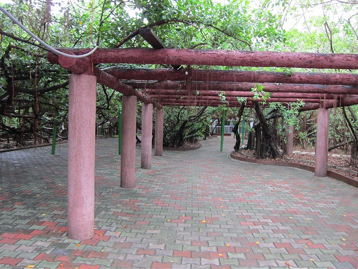 武聖廟神榕園 攝影：黃儒永