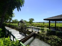 初英親水生態公園<br/> 攝影：資料來源─花蓮縣吉安鄉公所