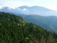 眺望森林山景<br/> 攝影：老山羊部落格
