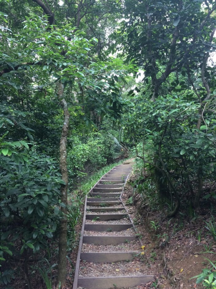 福州山公園 攝影：Eva隨手拍