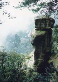 縉雲山-01 攝影：四川旅遊信息網