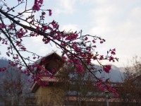 谷關風景特定區