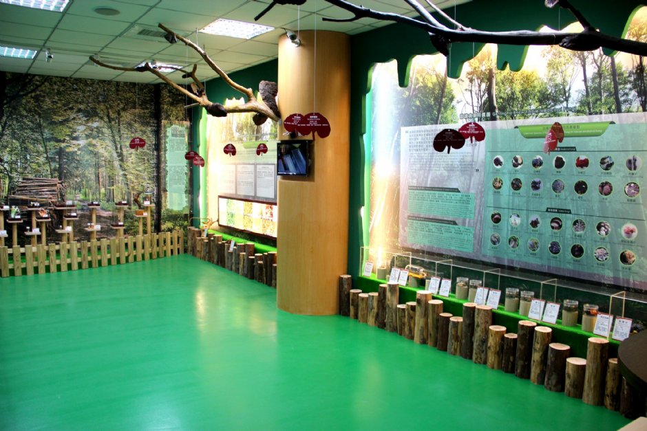 麗豐微酵館 攝影：麗豐微酵館 提供