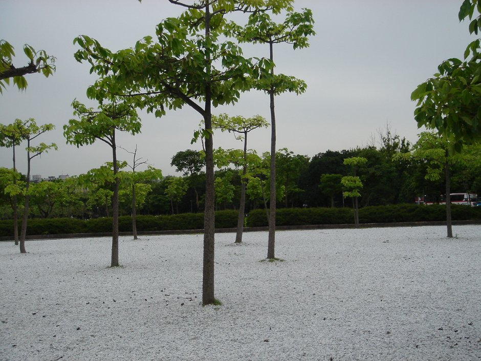 精緻花園展示 攝影：陳美吟