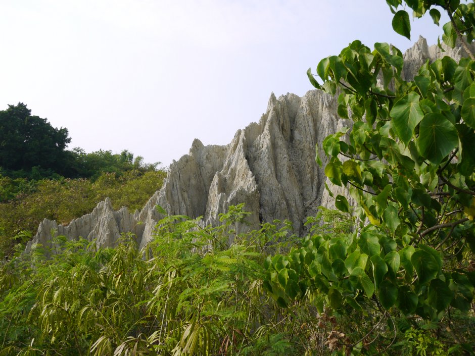 漯底山自然公園 攝影：三井