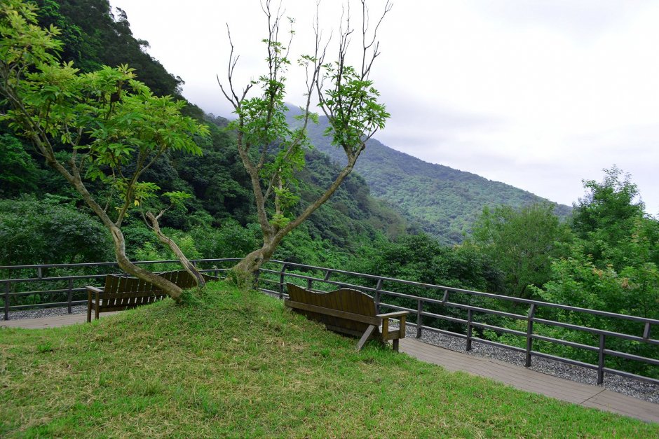 三樓觀景平台 攝影：藏酒酒莊 提供